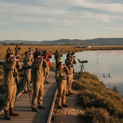 Birdwatching in the Sado Estuary, Setúbal: What to Expect