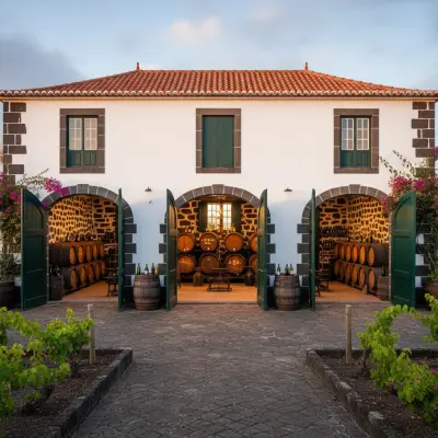 Museu do Vinho dos Biscoitos