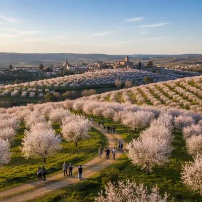 Torre de Moncorvo: Almond Blossoms and a Spring Road Trip