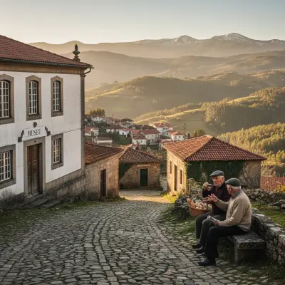 Seia: Os Museus Que Valem a Pena (e Não)