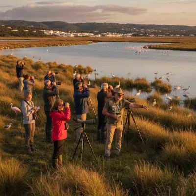 Birdwatching at Ria de Alvor from Odemira