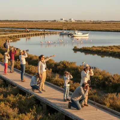 Birdwatching in Ria Formosa: Faro by Solar Boat