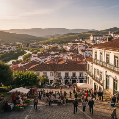Where to Stay in Vila Real: A Neighborhood Guide