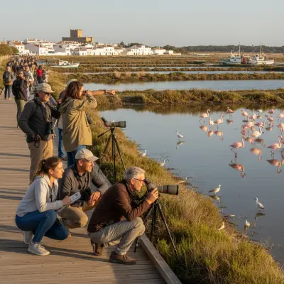 Bird Watching in Tavira: Exploring Ria Formosa by Boat