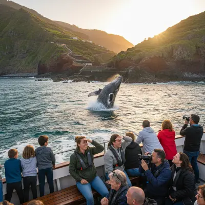Whale Watching de Calheta a Porto Moniz: Roteiro Honesto