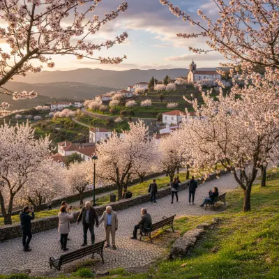 Torre de Moncorvo in Bloom: Spring Gardens and Parks