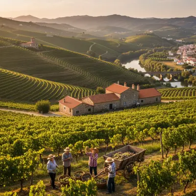 Monção e Melgaço: As Quintas de Alvarinho Que Importam
