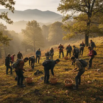 Mushroom Foraging in Montalegre: What Actually Exists