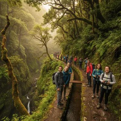 Levada do Rei a partir de São Vicente: Trilho Laurissilva