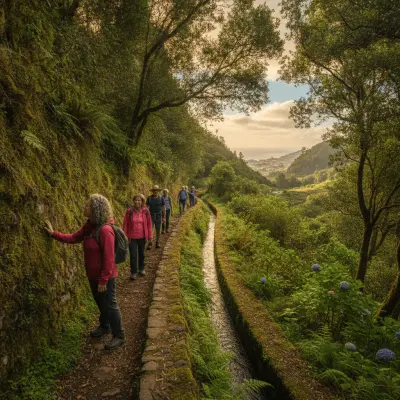 Levadas do Funchal em Setembro: o Mês Certo para Caminhar