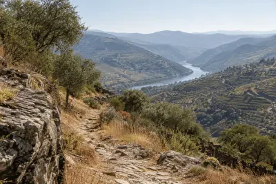 Do Moncorvo ao Vale do Côa: como visitar as gravuras