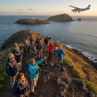 Observação de Aves na Terceira: Expedição ao Cabo da Praia com a ComunicAir
