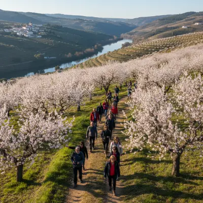 Rota das Amendoeiras em Flor: O Despertar Branco do Douro Superior