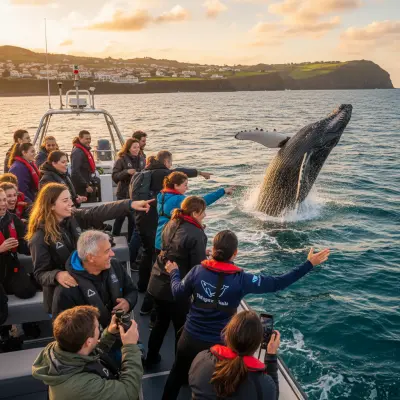 Whale Watching in the Azores: The Start of the Great Migration