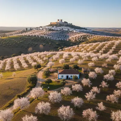 A Alvura de Fevereiro: Onde as Amendoeiras Florescem em Monsaraz