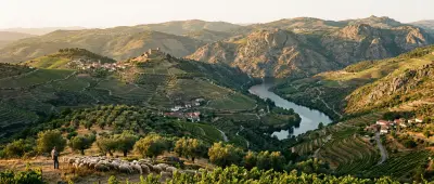 Trás-os-Montes