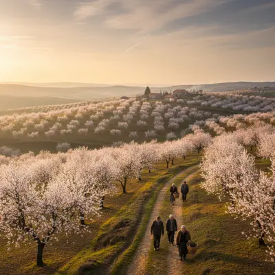 O Fevereiro Branco: Trilhos e Amendoeiras em Flor no Planalto de Mogadouro