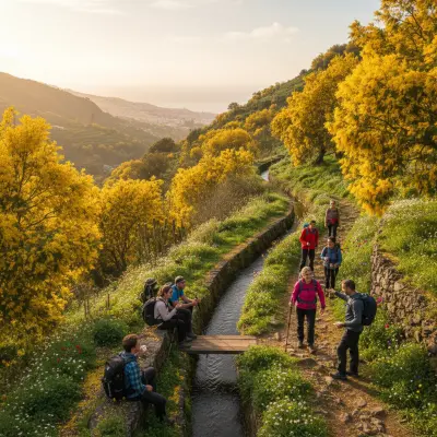 Madeira’s Levada Walks: The Golden Bloom of Early Spring in Maroços