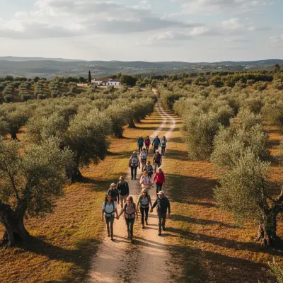 Caminhada pelos Olivais de Valinhos em Fátima: O Que Esperar
