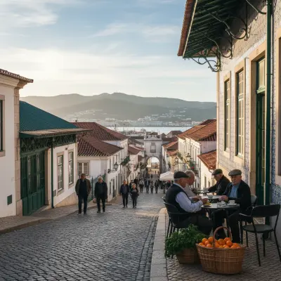 Setúbal a Pé: Do Mercado do Livramento ao Troino